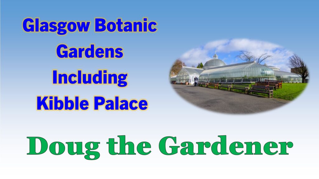 Glasgow Botanics Glasgow Botanics