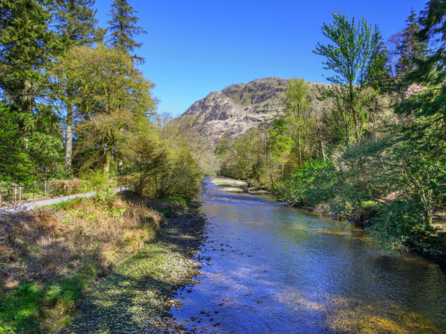 Benmore Botanic Gardens edit